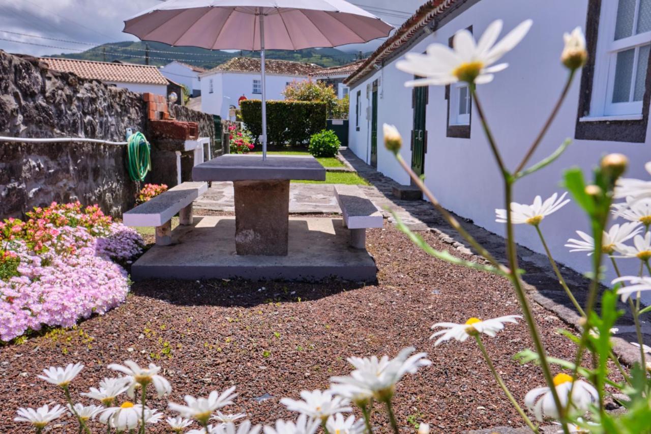 Casa D'alfaias Holiday home *